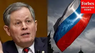 Steve Daines Warns That European Reliance On Russian Energy Will Lead To 'Influence And Aggression'