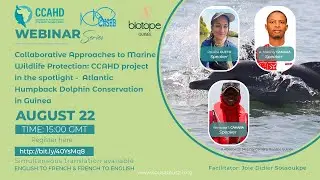 Collaborative Approaches to Atlantic Humpback Dolphin Conservation in Guinea