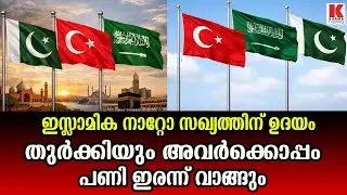 പാകിസ്ഥാനും സൗദിക്കുമൊപ്പം തുർക്കിയും, നാറ്റോയിൽ പങ്കാളിയാകും