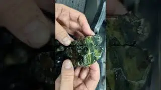 RHQ Rockhounding Oregon  #rockhound #rockhounding #mineral #oregon #lapidary #jasper