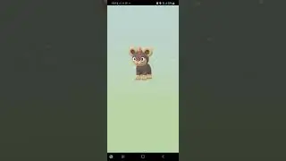 Mysterious 2km Egg reveal | #PokemonGOfriend | Pokemon GO | 4166 4910 5125 | 4391 1475 9450