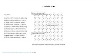 Map&Models   Lecture 08  Self Organizing Maps