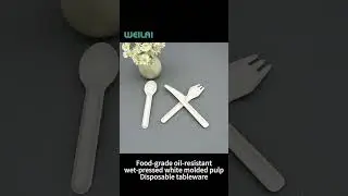Food-grade eco-friendly disposable tableware #biodegradable  #pulp #sustainableproducts #factory