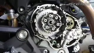 Ducati monster 796 clutch plates change out.