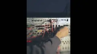 Honda & Hertz Donut #eurorack #musicjam #modular #harvestman #music #ambient #notalking  #doepfer