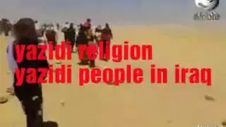 Yazidi religion in iraq