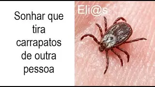 SONHAR QUE TIRA CARRAPATOS DE OUTRA PESSOA significado
