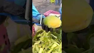 Perfect Mango Cutting Skill - Fruits Cutting Skill