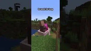 Do THIS To EFFCIENTLY Transport Villagers!