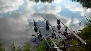 Karpfenangeln-Voll-RUN