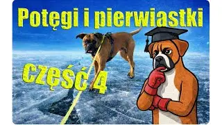 Potęgi i pierwiastki część 4/4, matura