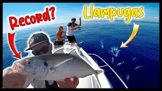 LLAMPUGAS a Spinning desde BARCO &iquest;RECORD MUNDIAL?