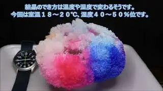 Fun experiment: Urea crystals (urea tree) with time-lapse video