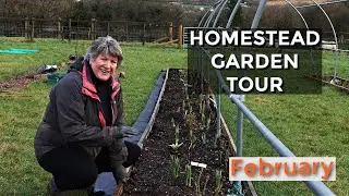 Homestead Garden Tour | New Food Forest in February (2022)