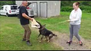 Gismo vom Adlerschrei