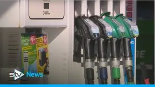 Fuel prices increased more last month than any previous month on record