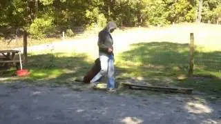 Rickymon & Lisa Agility