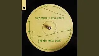 I Never Knew Love
