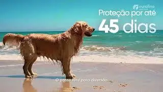 WellPet   Prote&ccedil;&atilde;o contra pulgas e carrapatos   Ourofino Sa&uacute;de Animal 720p, h264, youtube