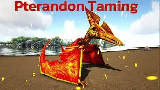 Ultimate Pteranodon Taming Guide | Ark Survival Evolved Gameplay