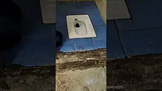 Pay to use toilet! 😶