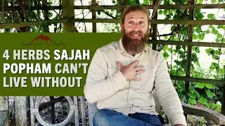 4 Herbs Sajah Popham Can't Live Without