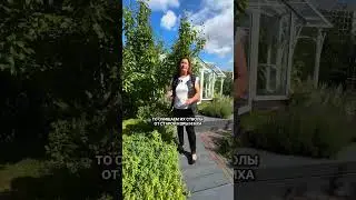 Ваш сад НЕ ПЕРЕЖИВЕТ зиму!