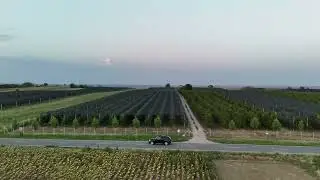 Car Cruising Through Vojvodina at Sunset 🌅 | 4K Drone Cinematic