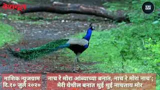 Nashik Newsgram | Nashik News | Today's News Headlines |