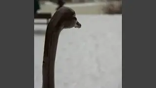 Winter Approaching