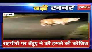 Itarsi Leopard News : तिलक सिंदूर रोड पर तेंदुआ का आतंक। राहगीरों पर तेंदुए ने की हमले की कोशिश