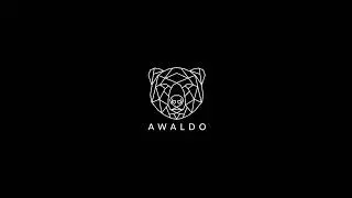 AWALDO Hemdentasche