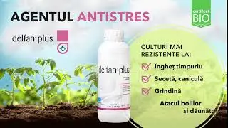 Delfan Plus - Agentul antistres