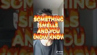Fart song