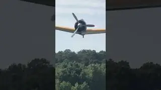 A6M Zero Head On CRAZY LOW PASS! #zero #mitsubishi #wwii #wow #what #aviation #military #history