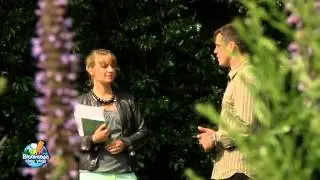 Visite guid&eacute;e de Laeken - Emission tv 