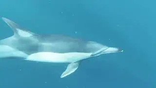 The Ocean in Every Shade of Blue-Full relaxation #deepsleep #okean#relaxingsounds #meditation