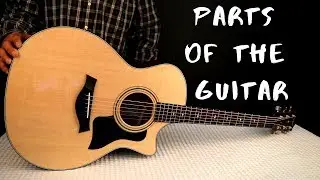 parts of the guitar and their functions