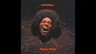Funkadelic - Maggot Brain (LP RE, Linn Sondek, Koetsu Black Gl, Herron Audio)