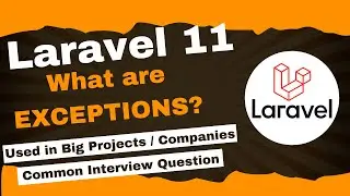 Laravel Exception commonly used in big projects