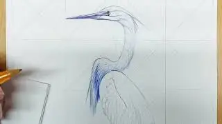 heron bird drawing | beautiful bird drawing | pen drawing | time lapse drawing video | art video