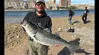 Great Striper Fishing at Community Park | Bullhead City