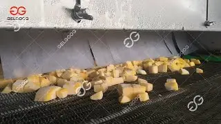 Industrial Mango flash freezer/Flash Freeze Machine For Sale