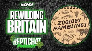 ReptiChat #Ep51 - Rewilding Britain with Emma and Robi of the Zoology Ramblings Podcast