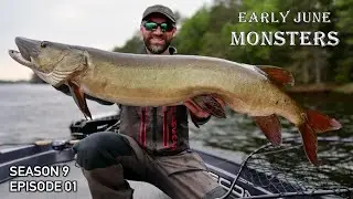 Hunting Spring Muskies in Northern Wisconsin | Electronics Help to Find Cold Water Muskies! S9.E01