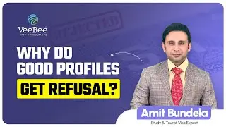 WHY DO GOOD PROFILES GET REFUSAL? | VeeBee Visa Consultants