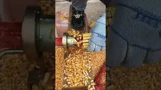 Rural Farmer #5718