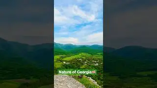 Nature of Georgia in spring. Dmanisi. Природа Грузии весной. Дманиси. #georgia #travel #shorts