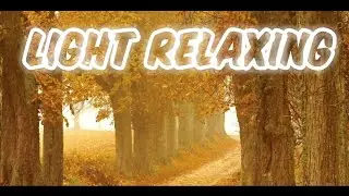 Light Relaxing | image music audio | Relaxing Digital Surround sound