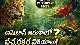 ప్రపంచంలో అత్యంత ప్రమాదకర అడవి 😱&ndash; Amazon Secrets intersting facts telugu ||@DarkorLight27 ||